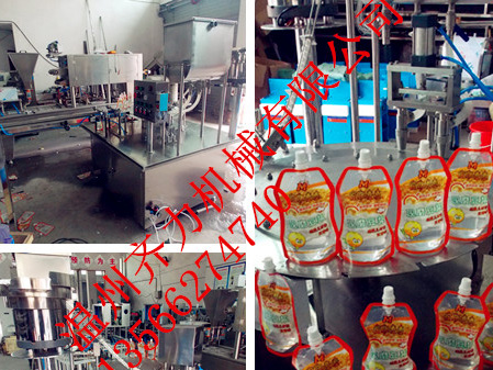 全自動(dòng)自立袋灌裝旋蓋機(jī)-2袋